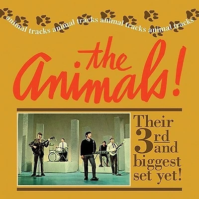 Animal Tracks