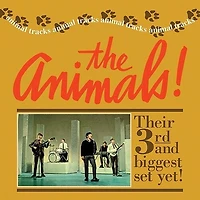 Animal Tracks