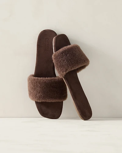 Sherpa Slides