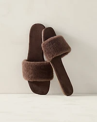 Sherpa Slides