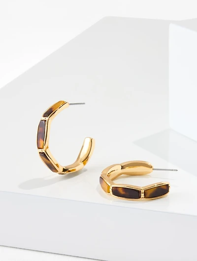 Tort Plates Link Hoop Earrings