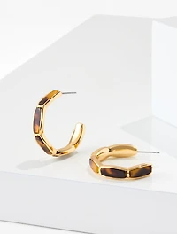 Tort Plates Link Hoop Earrings