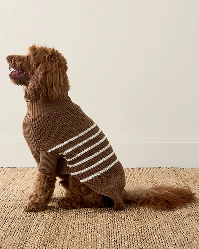 Organic Cotton Striped Dog Sweater