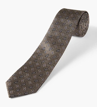 Small Paisley Tie