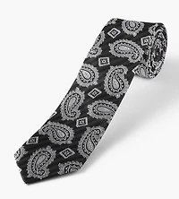 Geo Paisley Tie