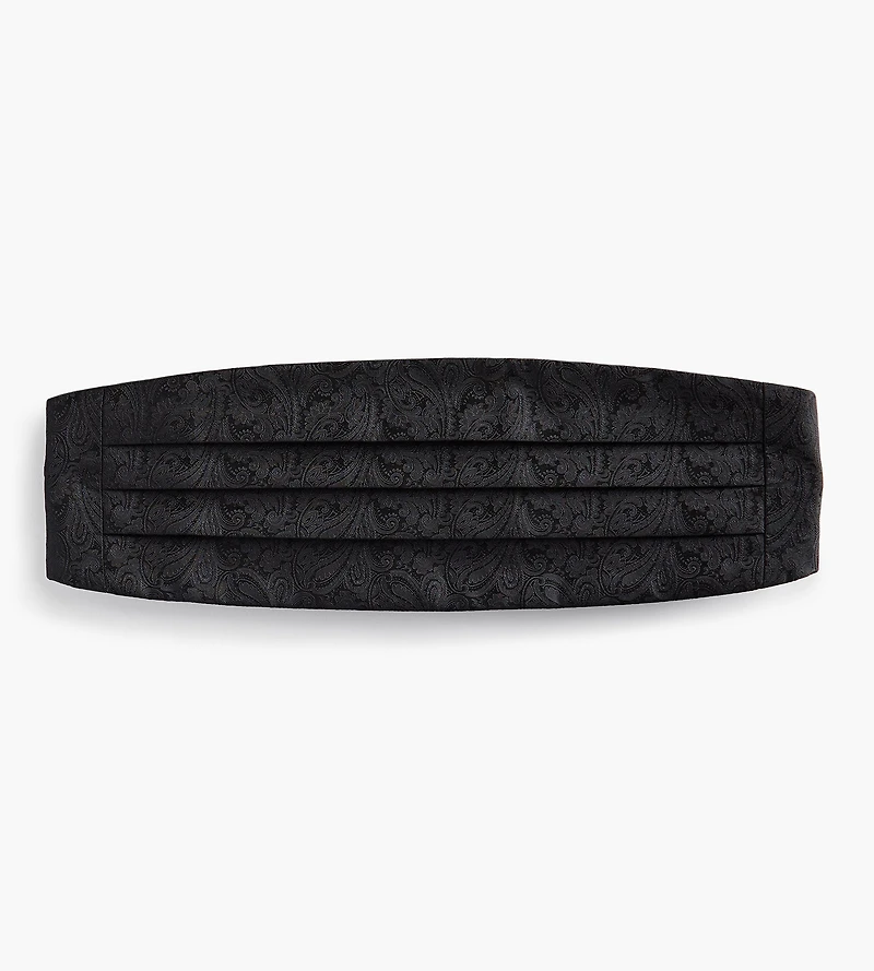 Paisley Cummerbund