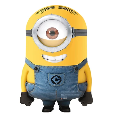 X Kites - Cerf-volant SkyBuddy - Détestable Moi