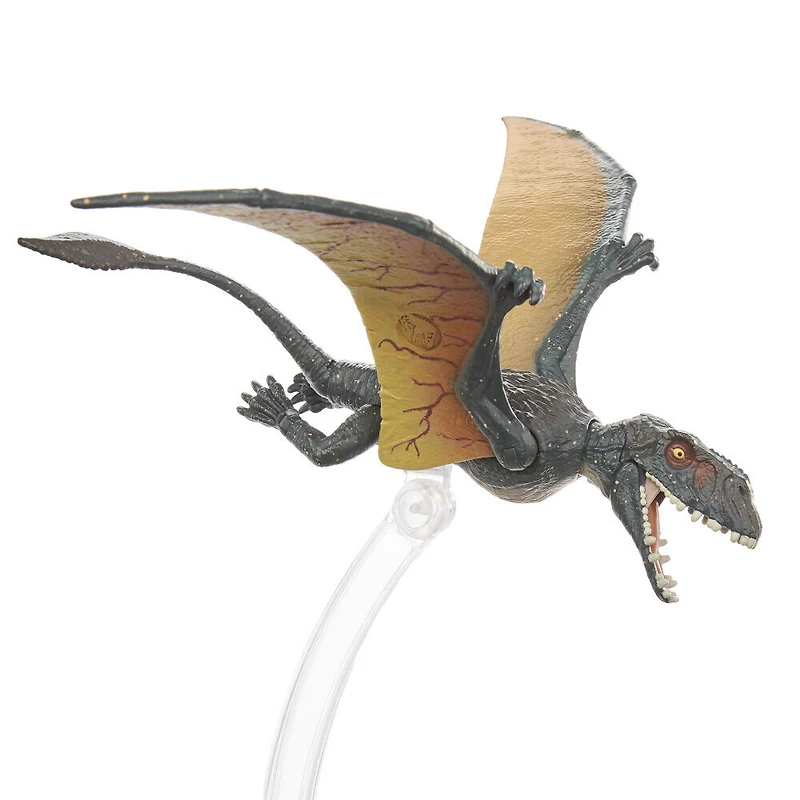 Jurassic World - Collection Ambre - Dimorphodons