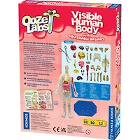 Corps Humain Entièrement Visible