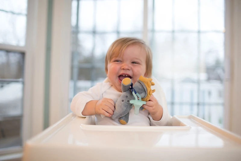 Dr. Brown'S Lovey Tétine De Triceratops Et Support Pour Anneau De Dentition