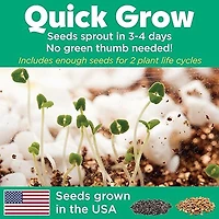 Creativity For Kids Grow N' Glow Terrarium