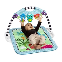 Neptune's Discovery Reef