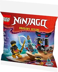 LEGO NINJAGO Arin vs. Dragonian Battle Building Toy -with 2 Minifigures from Dragons Rising TV Show - 30700