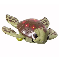 Dory Swimmers Squirt