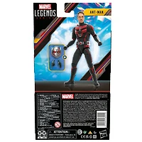 Hasbro Marvel Legends Series Ant-Man, Ant-Man et la Guêpe : Quantumania, figurine articulée de 15 cm