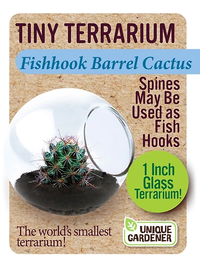 Fishhook Barrel Cactus - Édition anglaise