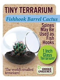 Fishhook Barrel Cactus - Édition anglaise