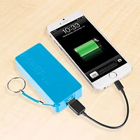 Vivitar 2600 MAH Power Boost