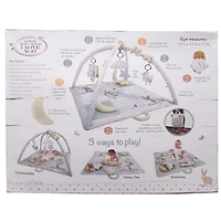 Guess How Much I Love You - Activity Play Gym