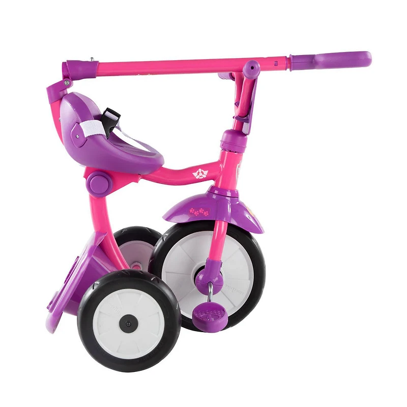 smarTrike Paw Patrol 2 in 1 Folding Fun Trike
