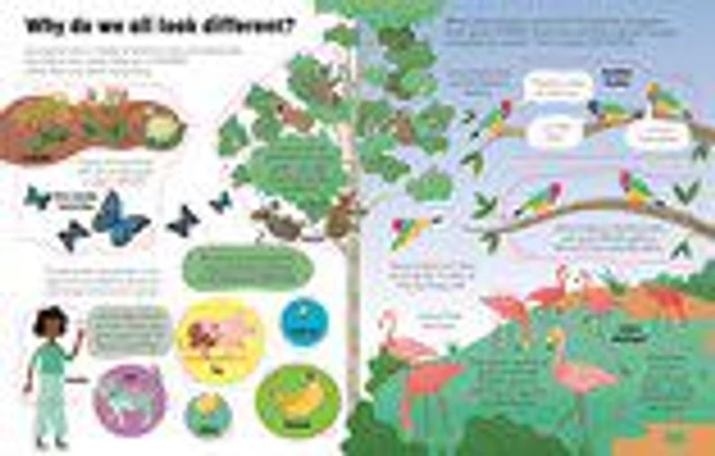 See Inside Genes And DNA - Édition anglaise