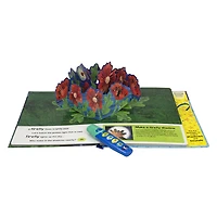 Livre d'aventures lampe de poche, Eric Carle