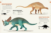 Dictionary Of Dinosaurs - English Edition