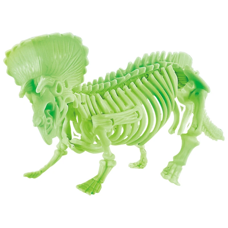 Casse-Tête Fossile 3D