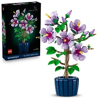LEGO Botanicals L'Hibiscus, Ensemble pour Adultes, Décor Floral avec Pot de Fleurs Bleu 10372
