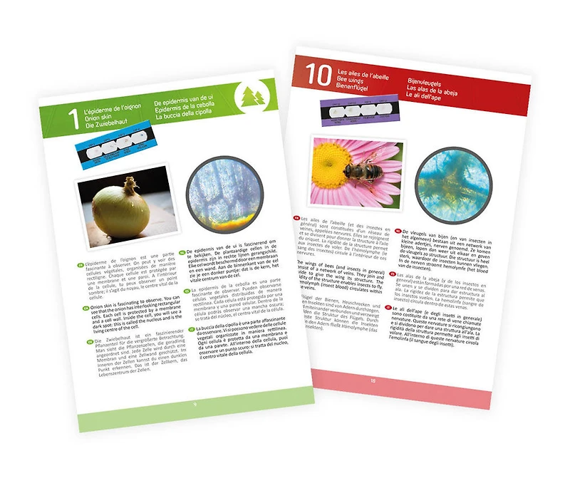 Microscope 15 Expériences