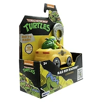 Teenage Mutant Ninja Turtles