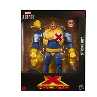 Marvel Legends Series