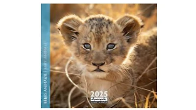 Bebes Animaux 2025