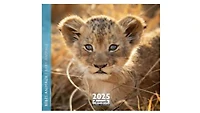Bebes Animaux 2025