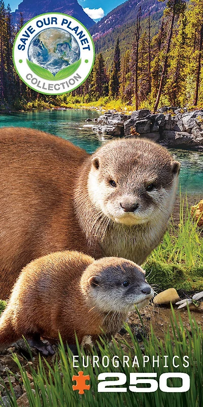 Puzzle De 250 Pièces