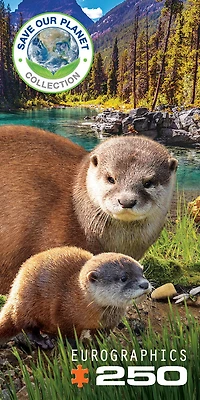 Puzzle De 250 Pièces