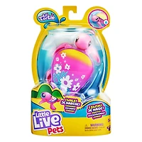 Little Live Pets Lil' Turtle S10 Single Pk Fleur De Plage