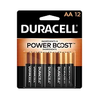 Duracell - Coppertop AA Alkaline Batteries