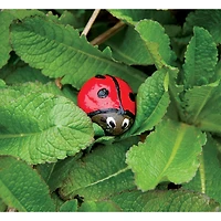 Creativity for Kids Hide And Seek Rock Painting Kit