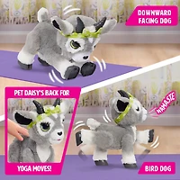 Jouet interactif Daisy, la chèvre pour le yoga, de FurReal