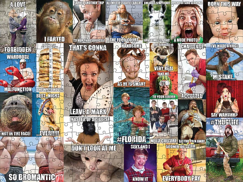 300-Piece Meme The Jigsaw Puzzle