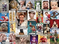 300-Piece Meme The Jigsaw Puzzle