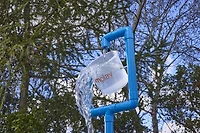 Water Park Seau tsunami