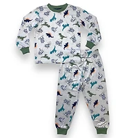 Paw Patrol 2 Piece PJ Set Long Sleeve Top and Pant Grey Mix