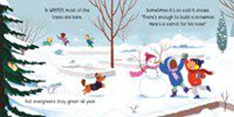 Little Board Books: Seasons - Édition anglaise