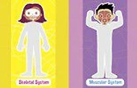 Jumbo Stickers For Lil Hands Human Body - Édition anglaise