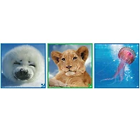 3 Puzzles - Blanchon. Lionceau. Méduse