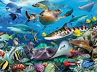 Howard Robinson - Sea Wonders 63 pc Casse-tête Super 3D