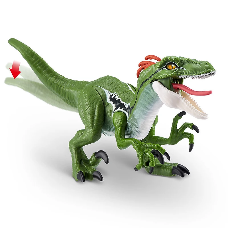 Action Dinosaure Rapace Robo Alive par ZURU