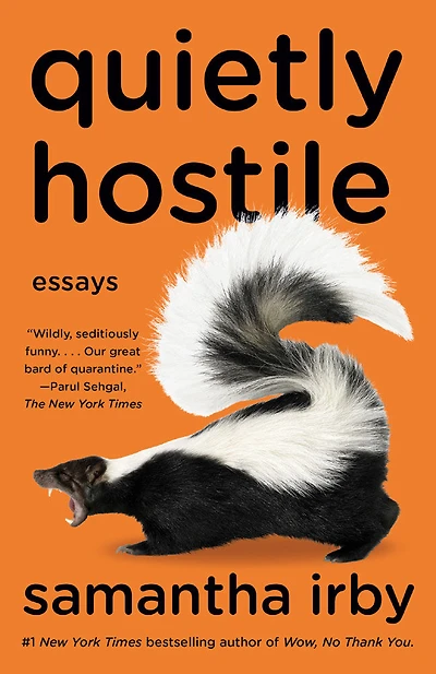 Quietly Hostile - English Edition